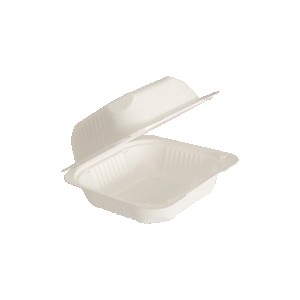 Hinged Container 6 in ? 6 in